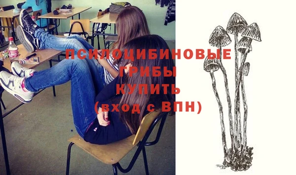 дмт Аксай